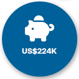 Piggy bank icon showing US$224K amount